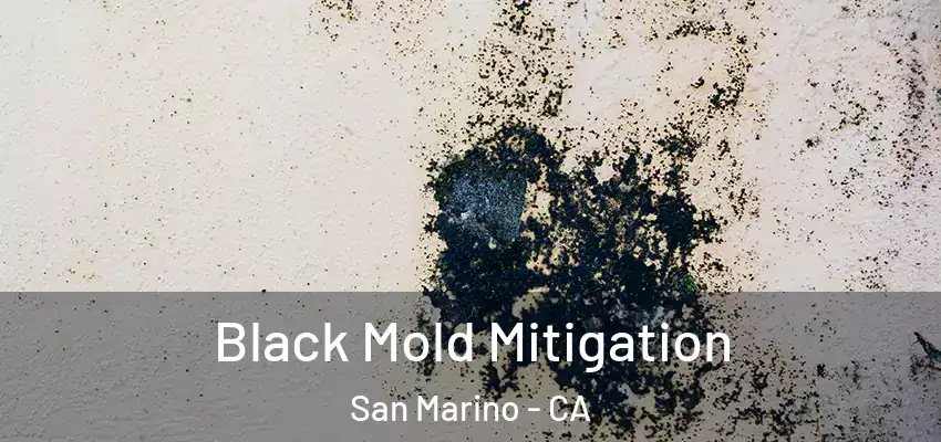 Black Mold Mitigation San Marino - CA