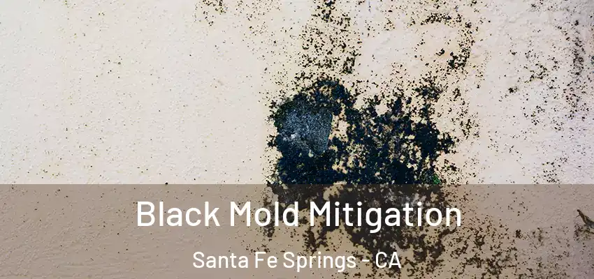 Black Mold Mitigation Santa Fe Springs - CA
