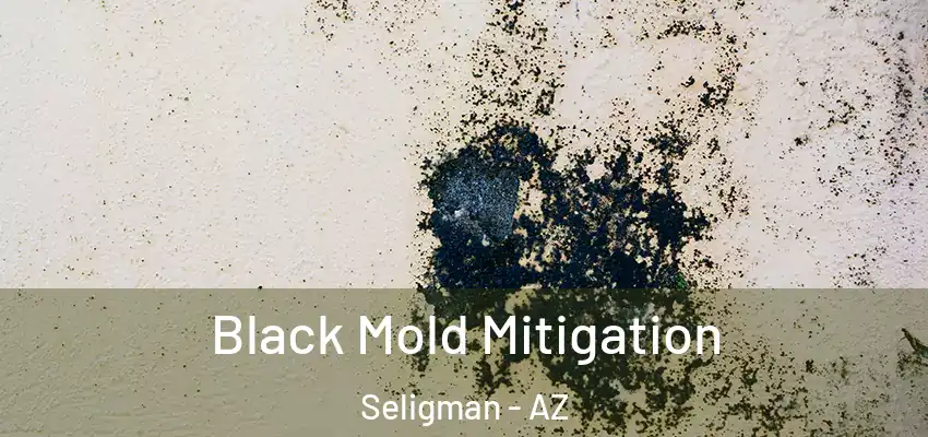  Black Mold Mitigation Seligman - AZ