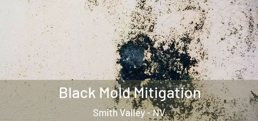  Black Mold Mitigation Smith Valley - NV