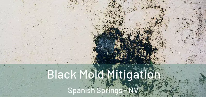  Black Mold Mitigation Spanish Springs - NV