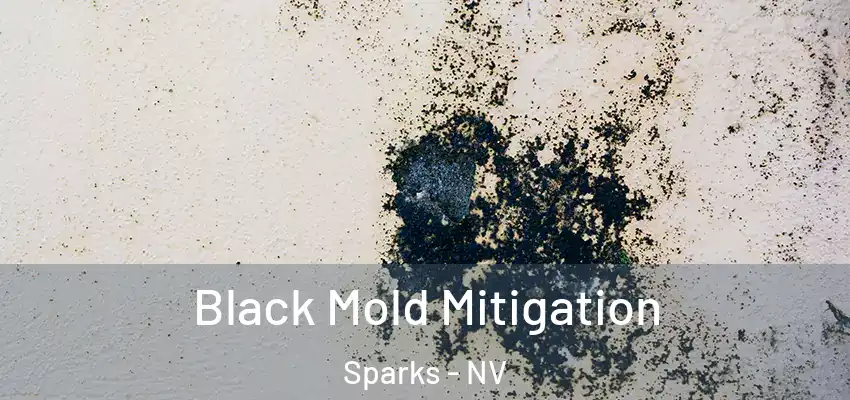  Black Mold Mitigation Sparks - NV
