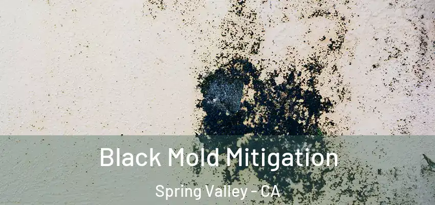 Black Mold Mitigation Spring Valley - CA