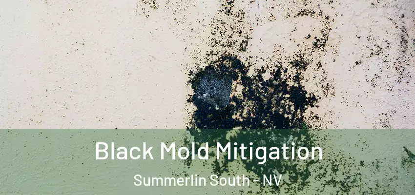  Black Mold Mitigation Summerlin South - NV