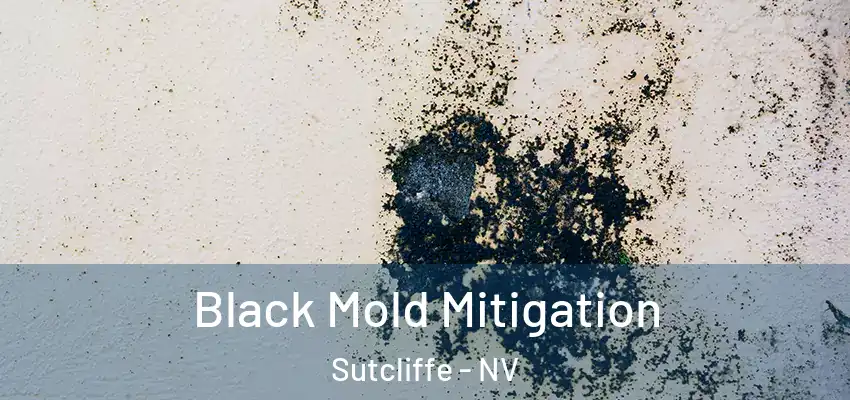  Black Mold Mitigation Sutcliffe - NV