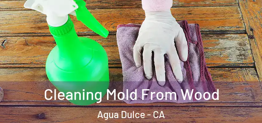  Cleaning Mold From Wood Agua Dulce - CA