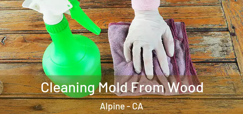  Cleaning Mold From Wood Alpine - CA
