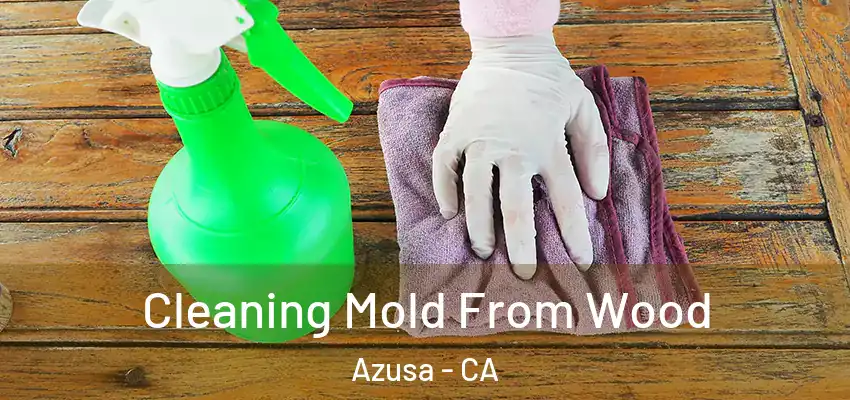  Cleaning Mold From Wood Azusa - CA