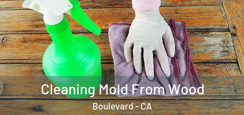  Cleaning Mold From Wood Boulevard - CA