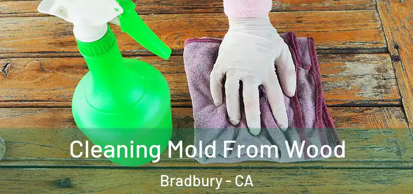  Cleaning Mold From Wood Bradbury - CA
