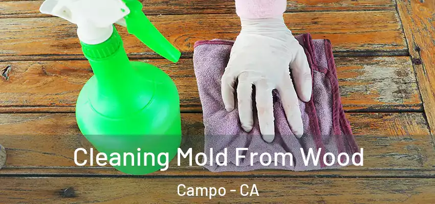 Cleaning Mold From Wood Campo - CA