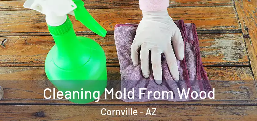  Cleaning Mold From Wood Cornville - AZ