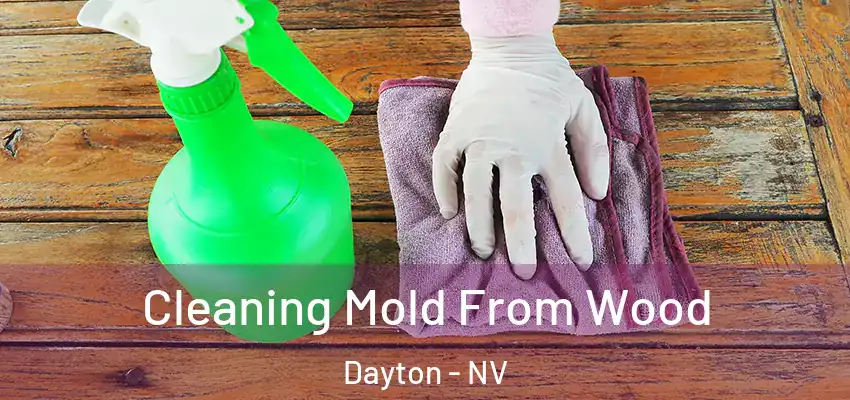  Cleaning Mold From Wood Dayton - NV