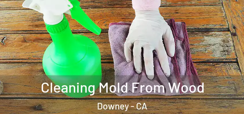 Cleaning Mold From Wood Downey - CA