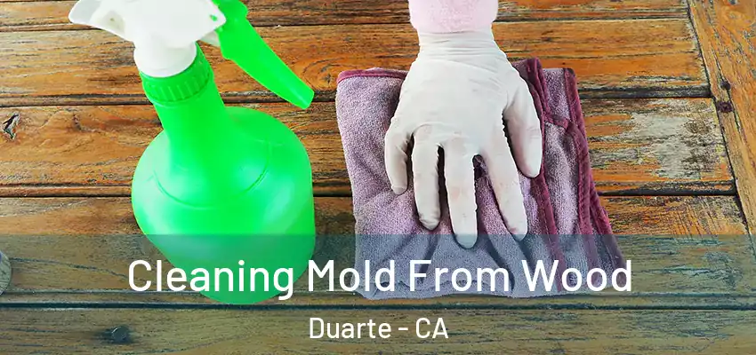  Cleaning Mold From Wood Duarte - CA