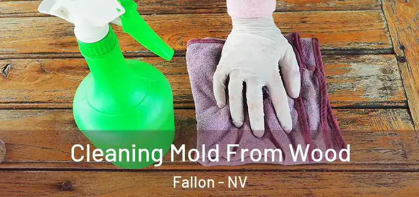  Cleaning Mold From Wood Fallon - NV