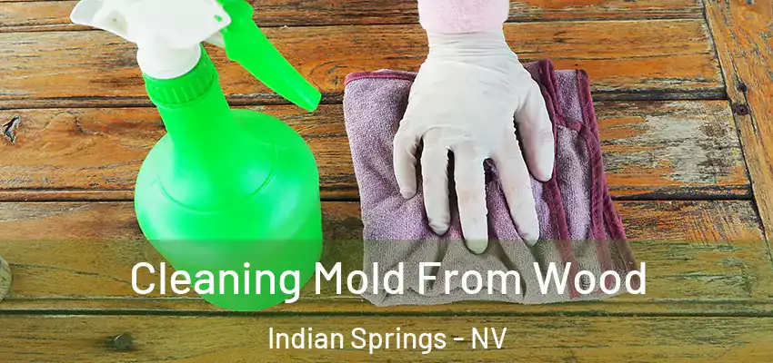  Cleaning Mold From Wood Indian Springs - NV