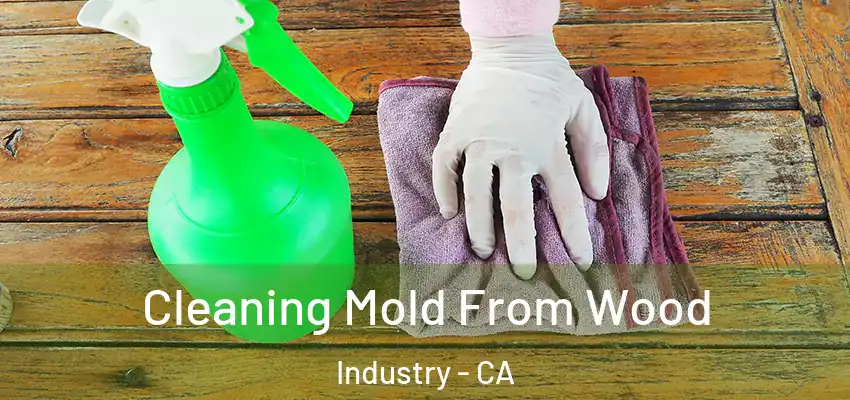 Cleaning Mold From Wood Industry - CA