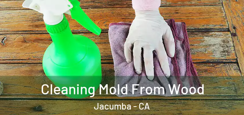  Cleaning Mold From Wood Jacumba - CA