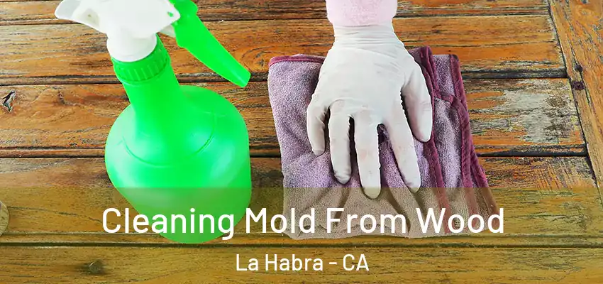  Cleaning Mold From Wood La Habra - CA