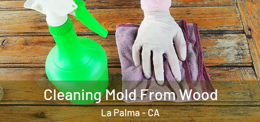  Cleaning Mold From Wood La Palma - CA