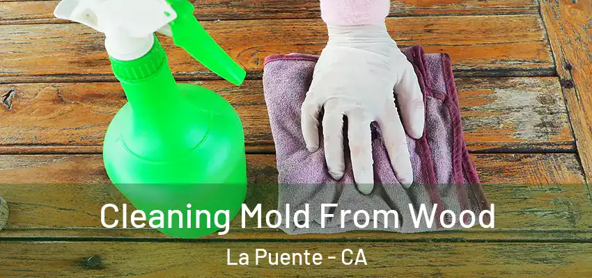  Cleaning Mold From Wood La Puente - CA