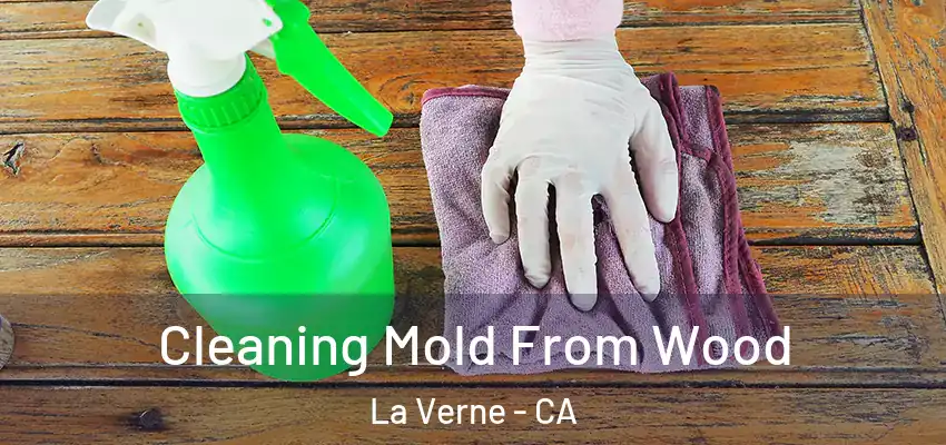  Cleaning Mold From Wood La Verne - CA