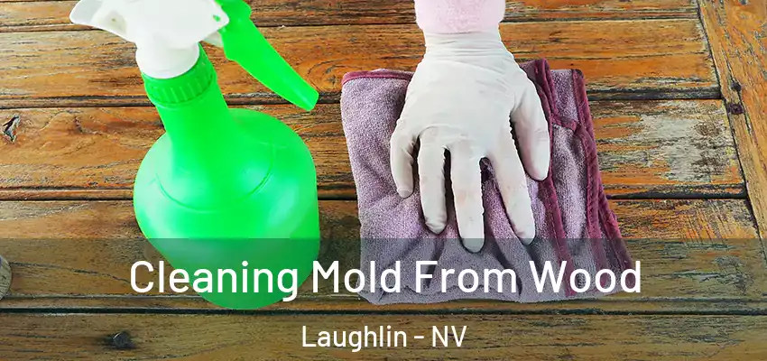  Cleaning Mold From Wood Laughlin - NV