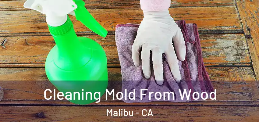 Cleaning Mold From Wood Malibu - CA