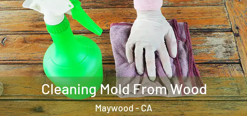  Cleaning Mold From Wood Maywood - CA