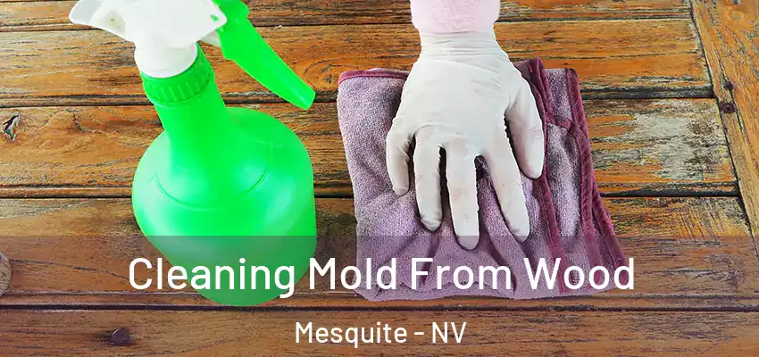 Cleaning Mold From Wood Mesquite - NV