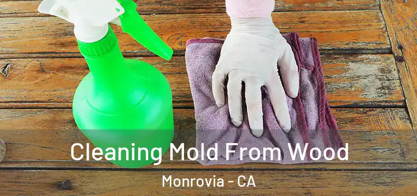  Cleaning Mold From Wood Monrovia - CA