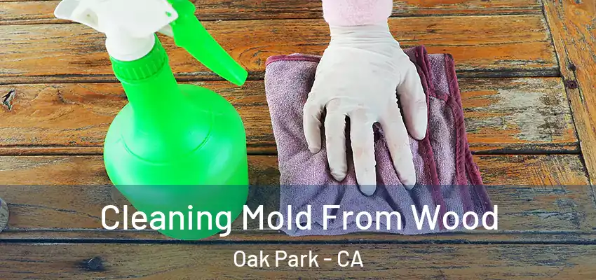  Cleaning Mold From Wood Oak Park - CA