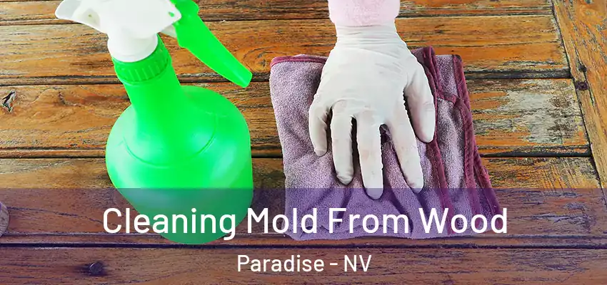  Cleaning Mold From Wood Paradise - NV