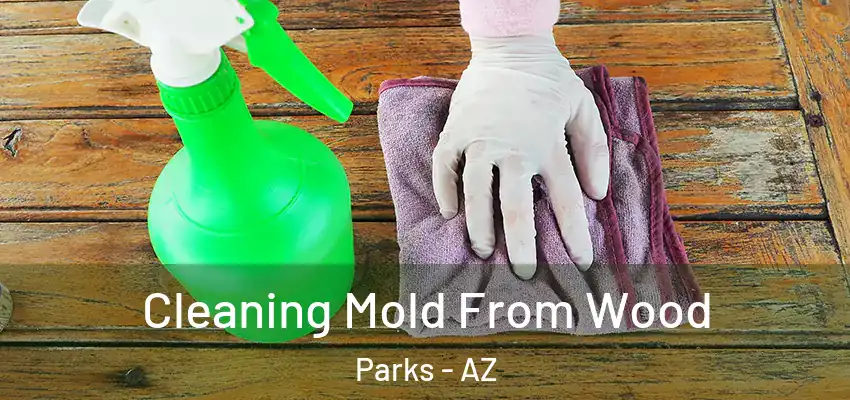  Cleaning Mold From Wood Parks - AZ