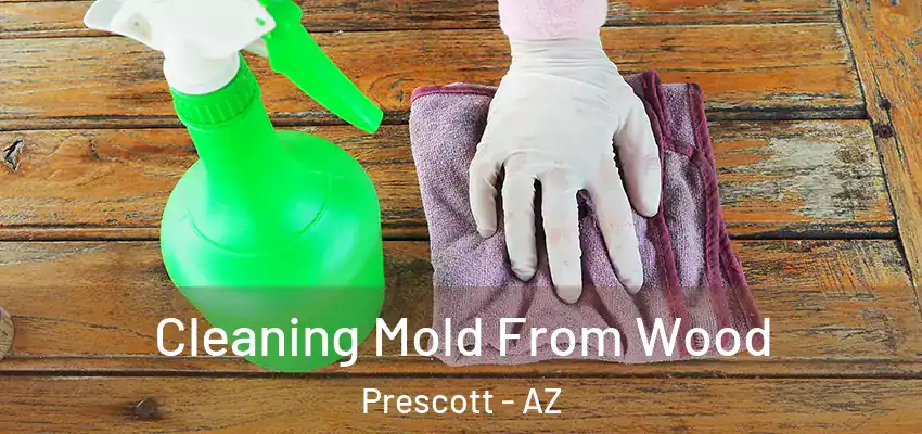 Cleaning Mold From Wood Prescott - AZ