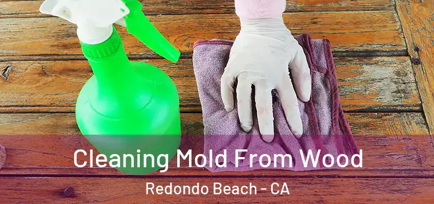  Cleaning Mold From Wood Redondo Beach - CA