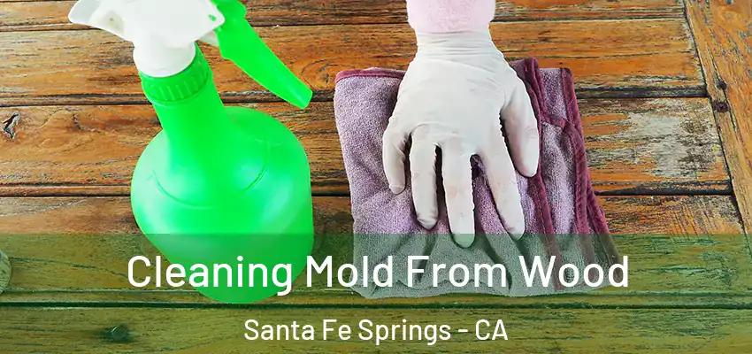  Cleaning Mold From Wood Santa Fe Springs - CA