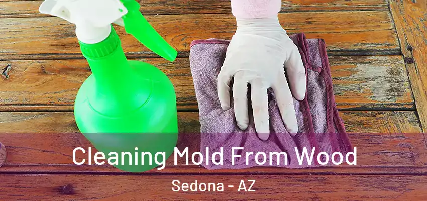  Cleaning Mold From Wood Sedona - AZ