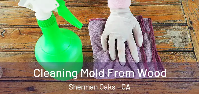  Cleaning Mold From Wood Sherman Oaks - CA