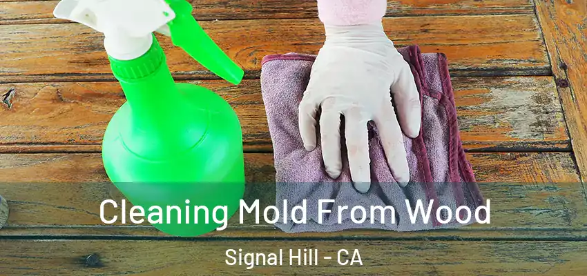  Cleaning Mold From Wood Signal Hill - CA