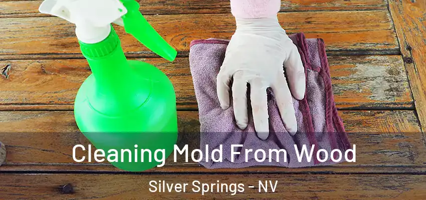  Cleaning Mold From Wood Silver Springs - NV