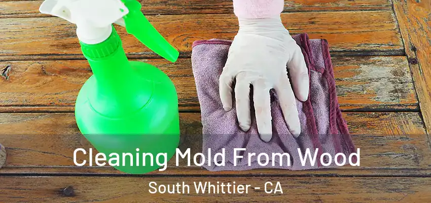  Cleaning Mold From Wood South Whittier - CA