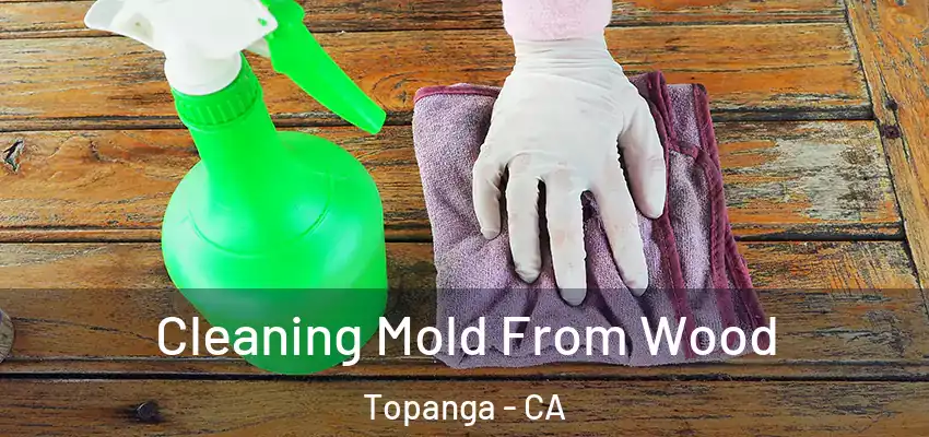  Cleaning Mold From Wood Topanga - CA