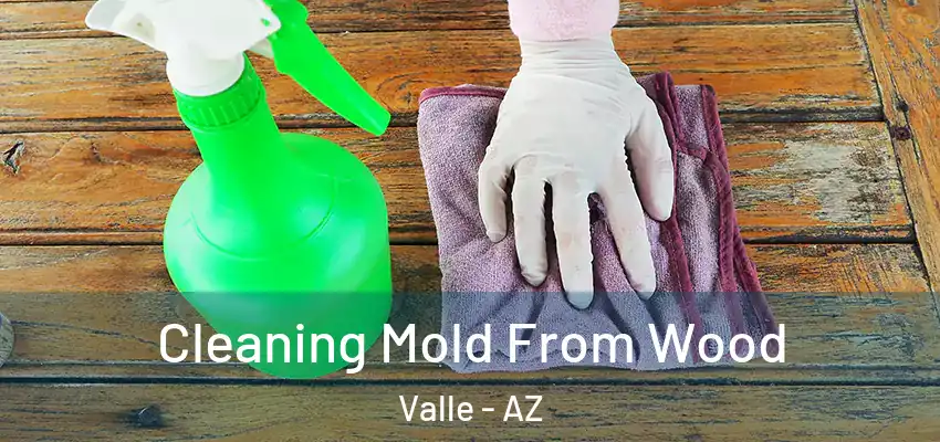  Cleaning Mold From Wood Valle - AZ