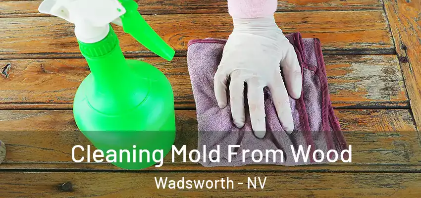  Cleaning Mold From Wood Wadsworth - NV