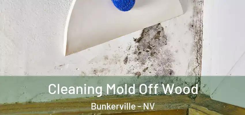 Cleaning Mold Off Wood Bunkerville - NV
