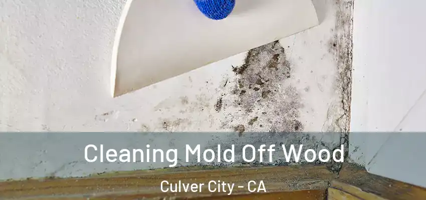  Cleaning Mold Off Wood Culver City - CA