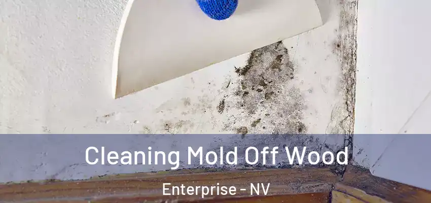 Cleaning Mold Off Wood Enterprise - NV