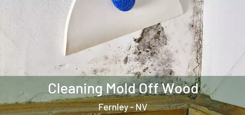  Cleaning Mold Off Wood Fernley - NV